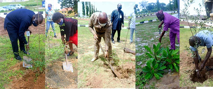 03MANAGEMENT-FLAGS-OFF-TREE-PLANTING-PROJECT